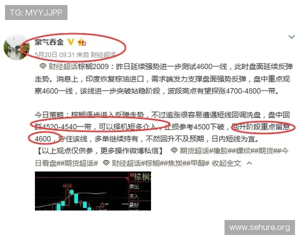 如何提升bg真人月收入：玩家实用的盈利技巧与策略分享